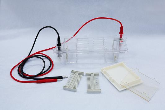 DYCP-31CN型 琼脂糖水平电泳仪（槽）（小号）