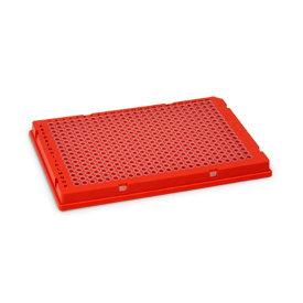 伯乐BIO-RAD 384孔PCR板 HSP3811，红色框架/透明孔