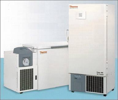 美国热电Thermo Forma 8600系列卧式超低温冰箱