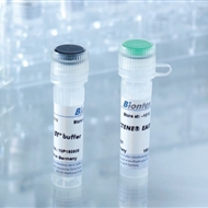 德国biontex细胞转染试剂/METAFECTENE EASY+第三代DNA快速细胞转染试剂 