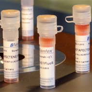 德国biontex细胞转染试剂/METAFECTENER FluoR转染试剂（可视化细胞转染试剂）