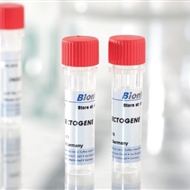 德国biontex细胞转染试剂|INSECTOGENE水溶性阳离子脂质运载核酸转染昆虫细胞试剂