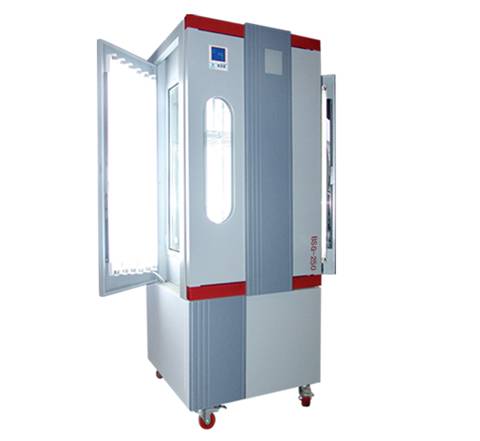 程控光照培养箱（种子箱）光照培养箱 BSG-250（升级新型，液晶屏）三面光照